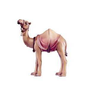 Kamel - 12cm
