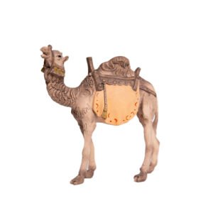 Kamel - 13 / 17cm
