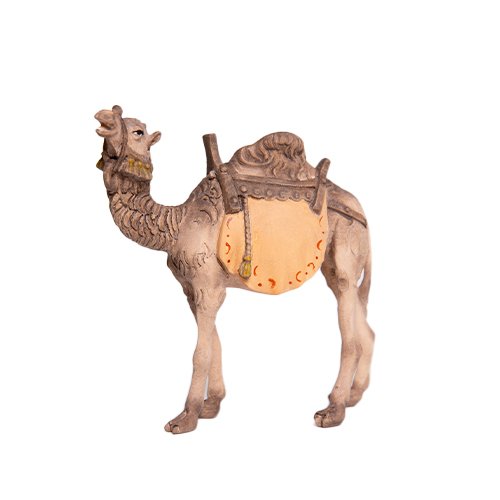 Kamel - 13 / 17cm